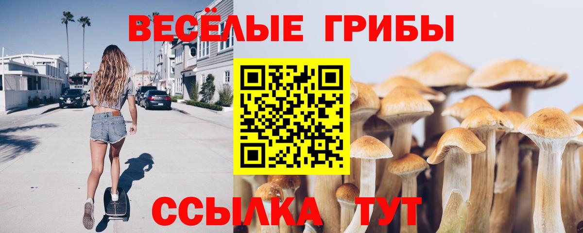 Тулун  Псилоцибиновые грибы Magic Shrooms  Галлюциногенные грибы мухоморы  наркотики  Вход с VPN 